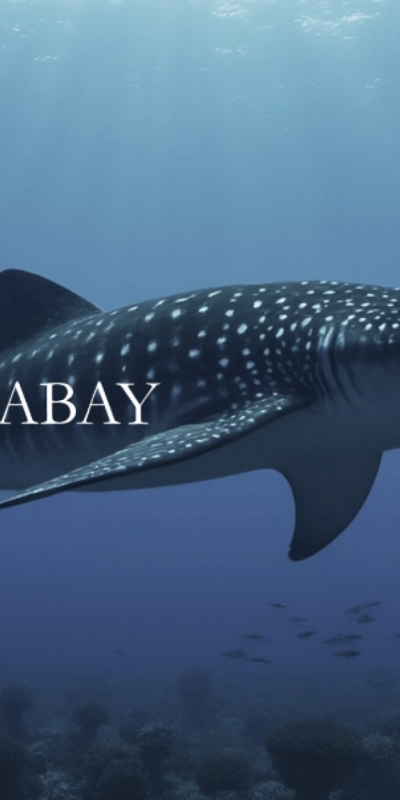Mongabay and Ladera Sur