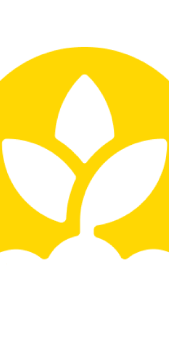 A plant grows
